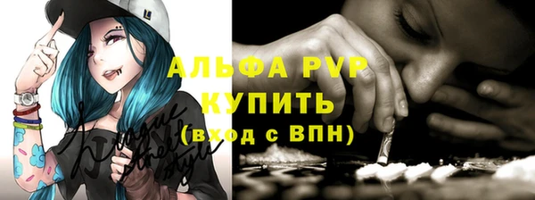 гашик Богданович