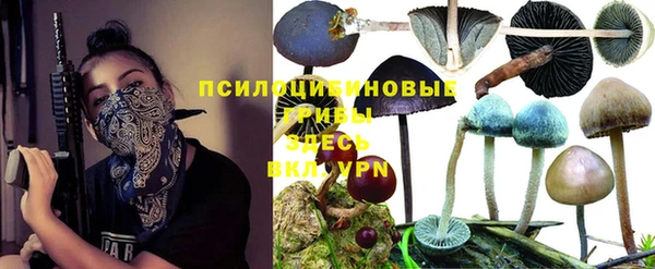 соль ск Бронницы
