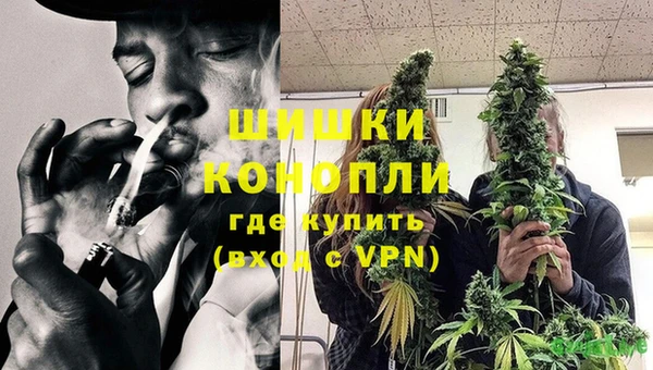 соль ск Бронницы