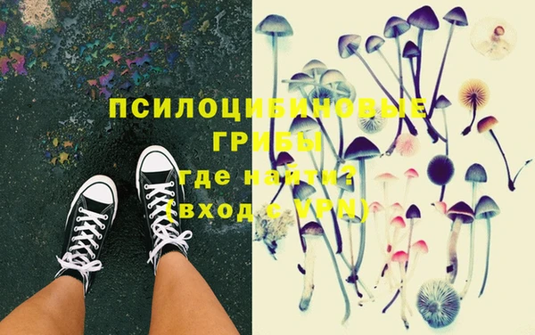 соль ск Бронницы