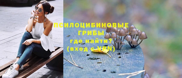 гашик Богданович