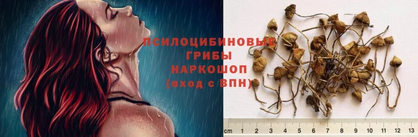 ГАЛЛЮЦИНОГЕННЫЕ ГРИБЫ Волоколамск
