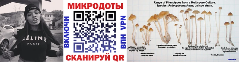 Псилоцибиновые грибы мухоморы  блэк спрут зеркало  Истра 